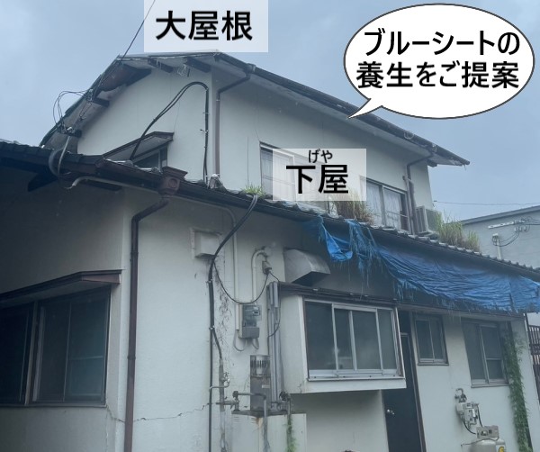 ブルーシート養生をご提案　大屋根と下屋